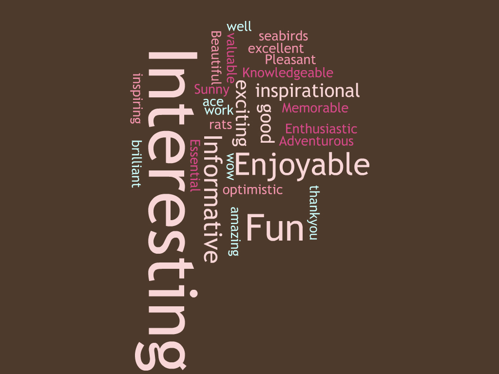 wordle_2015_Duchy_college.jpeg