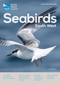 Seabirds-South-West-2014-1.jpg
