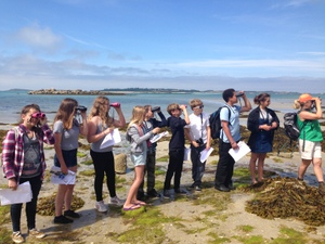 five_island_school_2016_birdwatching_St_Martins.JPG