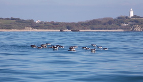 DSCN0060.JPG
