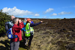 walk_scilly_gugh_2016_.JPG
