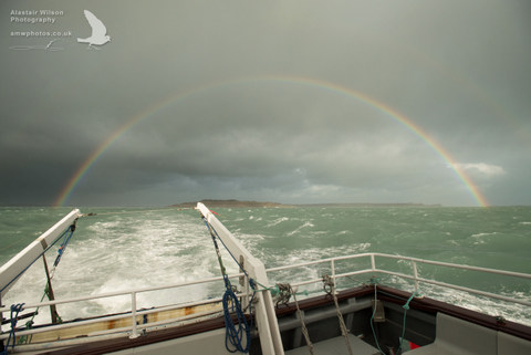 rainbow.jpg