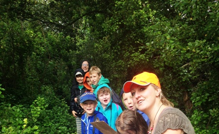group_2.jpg
