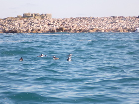 DSCN0072.JPG