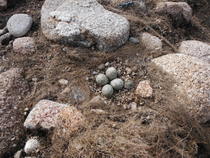 DSCF1145.JPG