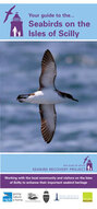 IOSSRP-seabird-web.jpg